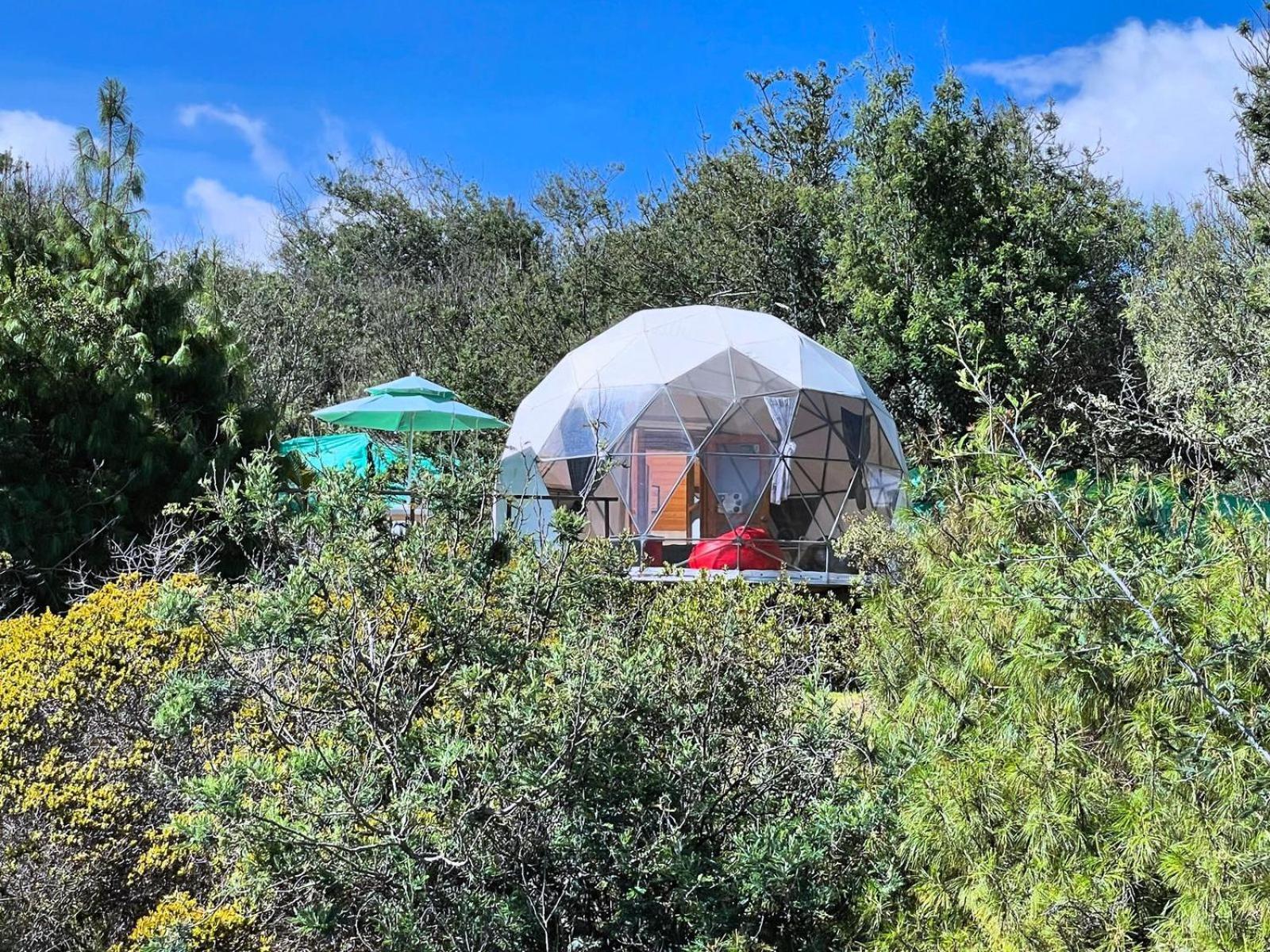 Hotel El Alpino Cabana Glamping & Camping Guatavita Esterno foto